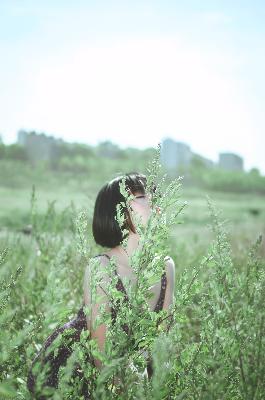 纵有疾风起电视剧免费完整版观看