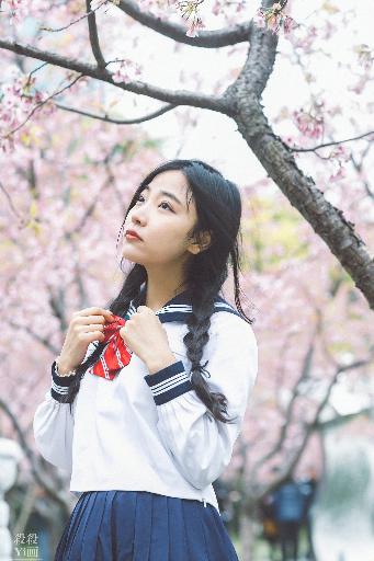 长歌行电视剧免费观看全集