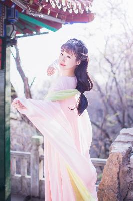 免费观看电视剧全集在线播放高清