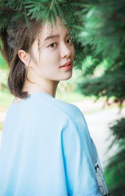 陈情令电视剧免费观看完整版高清