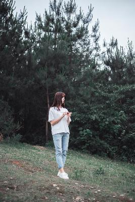 知否知否应是绿肥红瘦全集