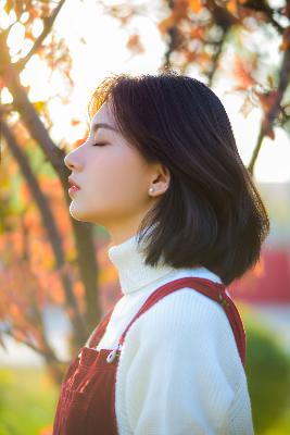 大地资源第中文二页