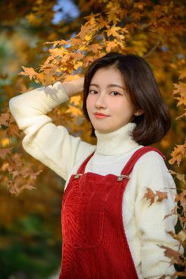 GOGOGO国语版免费播放