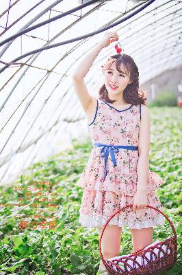 谁是凶手电视剧完整版免费观看