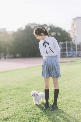 八戒八戒免费观看高清电视剧