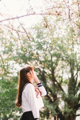 青青河边草免费高清完整版