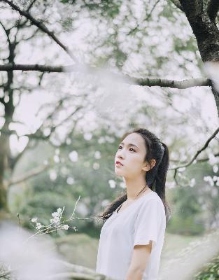 纵有疾风起电视剧免费完整版观看