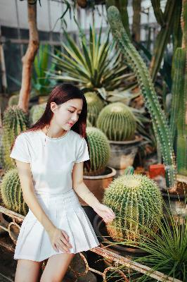 知否知否应是绿肥红瘦全集免费