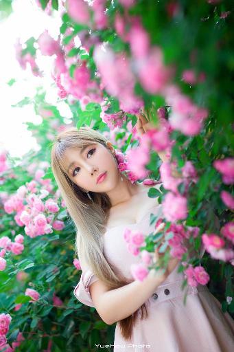 霜花店在线观看