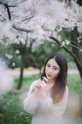 天才基本法电视剧免费观看