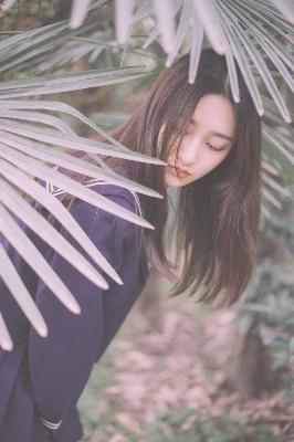 最美的青春电视剧全集免费观看