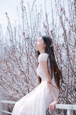 丁香花影院在线观看免费播放电视剧