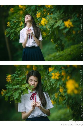 YY影院在线观看高清电视剧大全