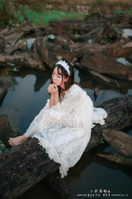 免费观看电视剧大全