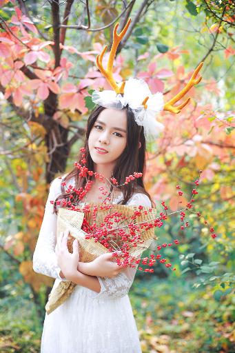 FREEOK追剧免费观看