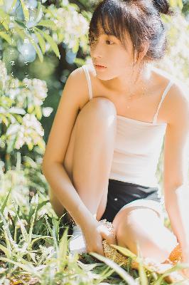 私人在线观看免费高清电视剧