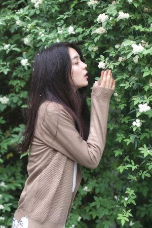 包子漫画网页版