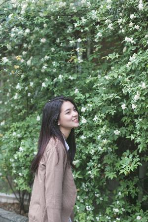 老牛影院在线播放免费高清电视剧