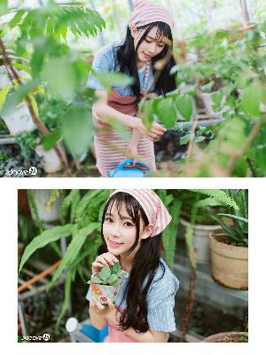 两个儿媳高清免费版电视剧电影