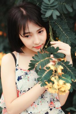 中文免费高清在线看电视剧