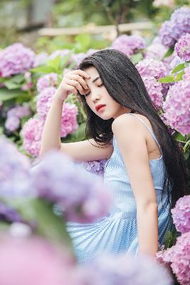 楚汉传奇1-80全集完整版